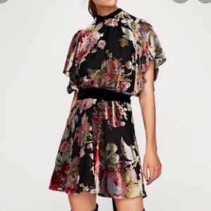 Zara chiffon and velvet dress